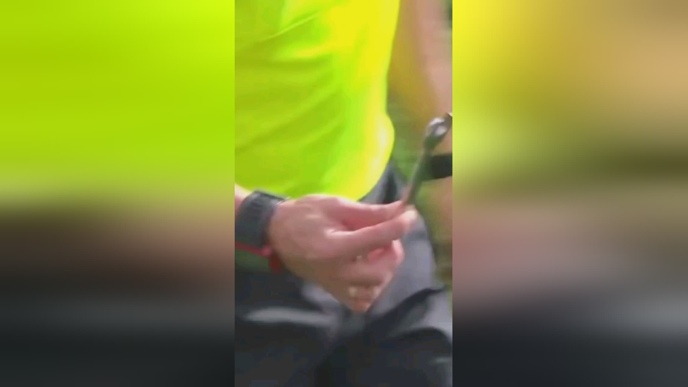 化的